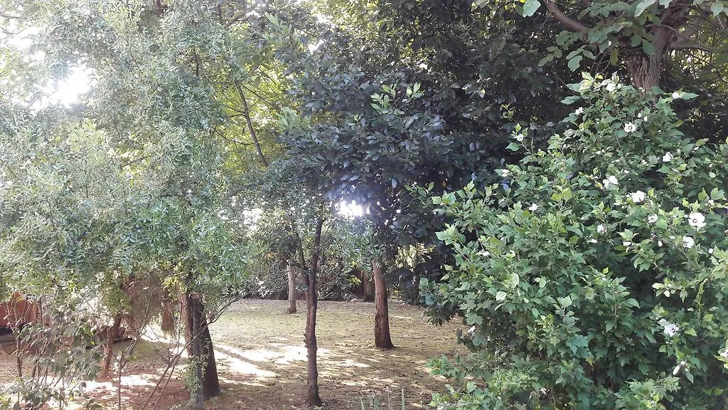 Appartamento Casa Della Nonna Noventa di Piave Apartment