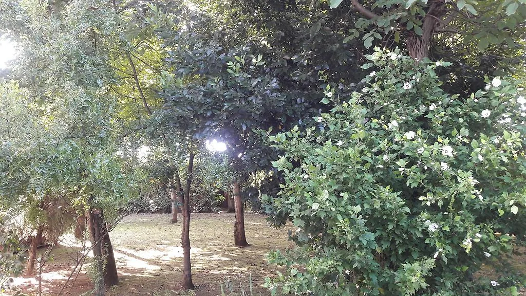 Appartamento Casa Della Nonna Noventa di Piave